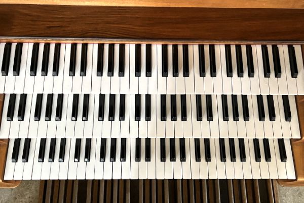 orgel-sk-img-3426-2342951A9D-14EB-EEFF-C628-26451023D55F.jpg